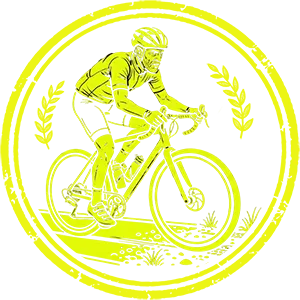 Icon derbaranski.de 1